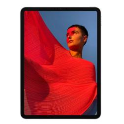 Apple iPad Pro (2021) 11" Wi-Fi + Cellular 256 ГБ, Silver «Серебристый»