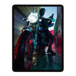 Apple iPad Pro (2021) 11" Wi-Fi + Cellular 256 ГБ, Silver «Серебристый»