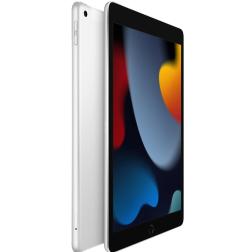 Apple iPad 10,2" (2021) Wi-Fi + Cellular 256 ГБ, Silver (серебристый)